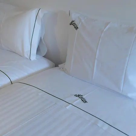 Casa Oliveira Konukevi *