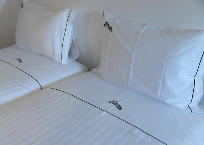 Casa Oliveira ゲストハウス *